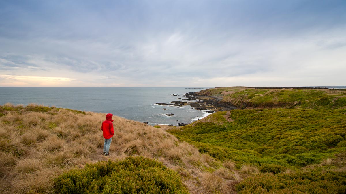 Coastal Lookout point - Phillip Island Guide: Day Trip From Melbourne