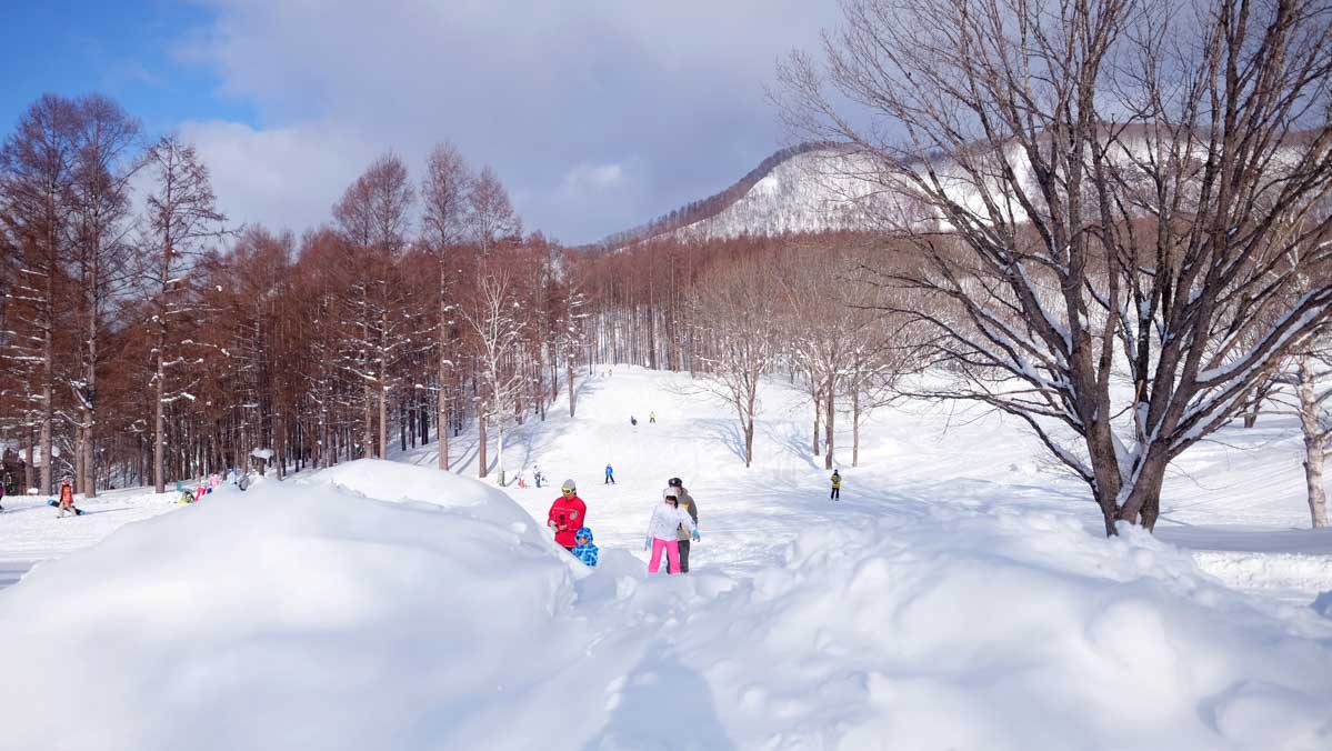 winter day trips tokyo