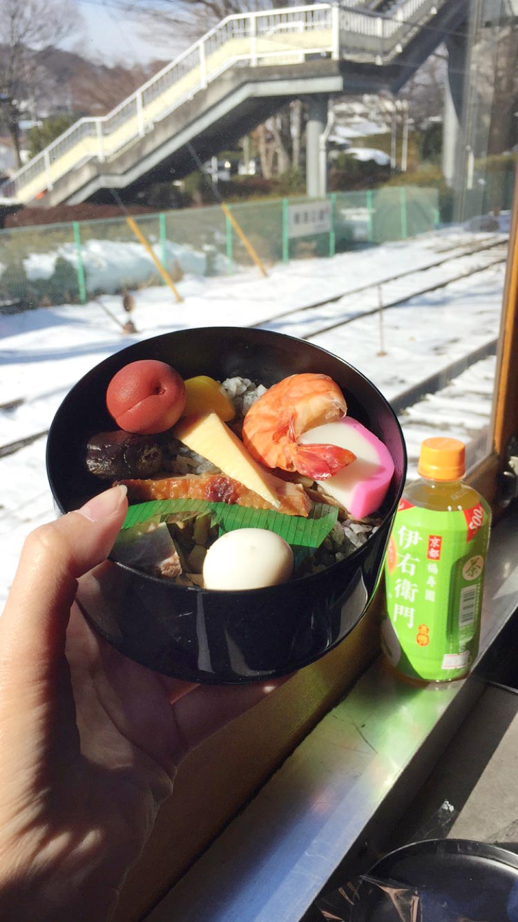 Day Trips From Tokyo - train bento