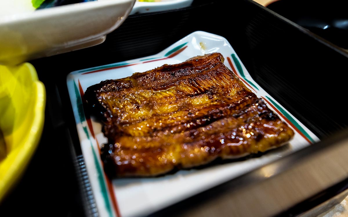 Day Trips from Tokyo - unagi