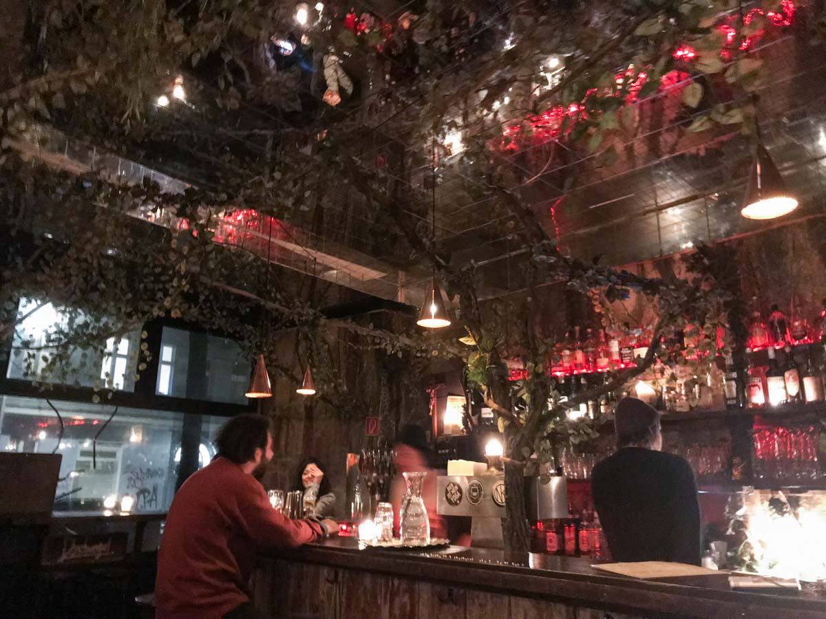 Dschungel Bar - Budget Berlin Travel Guide