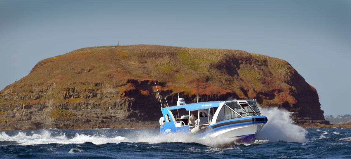 Ecoboat Adventure - Phillip island guide