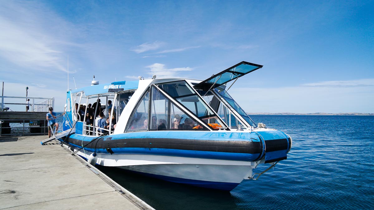 Ecoboat Adventure boat - Phillip Island Guide: Day Trip From Melbourne