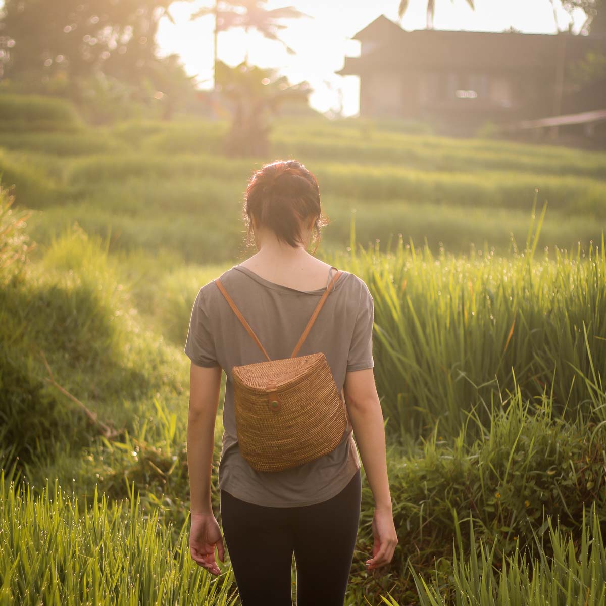 Bali Paddy Field - Bali Photo Guide