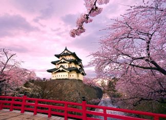Featured Image-Ultimate Cherry Blossom Japan Guide