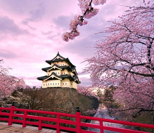 Featured Image-Ultimate Cherry Blossom Japan Guide