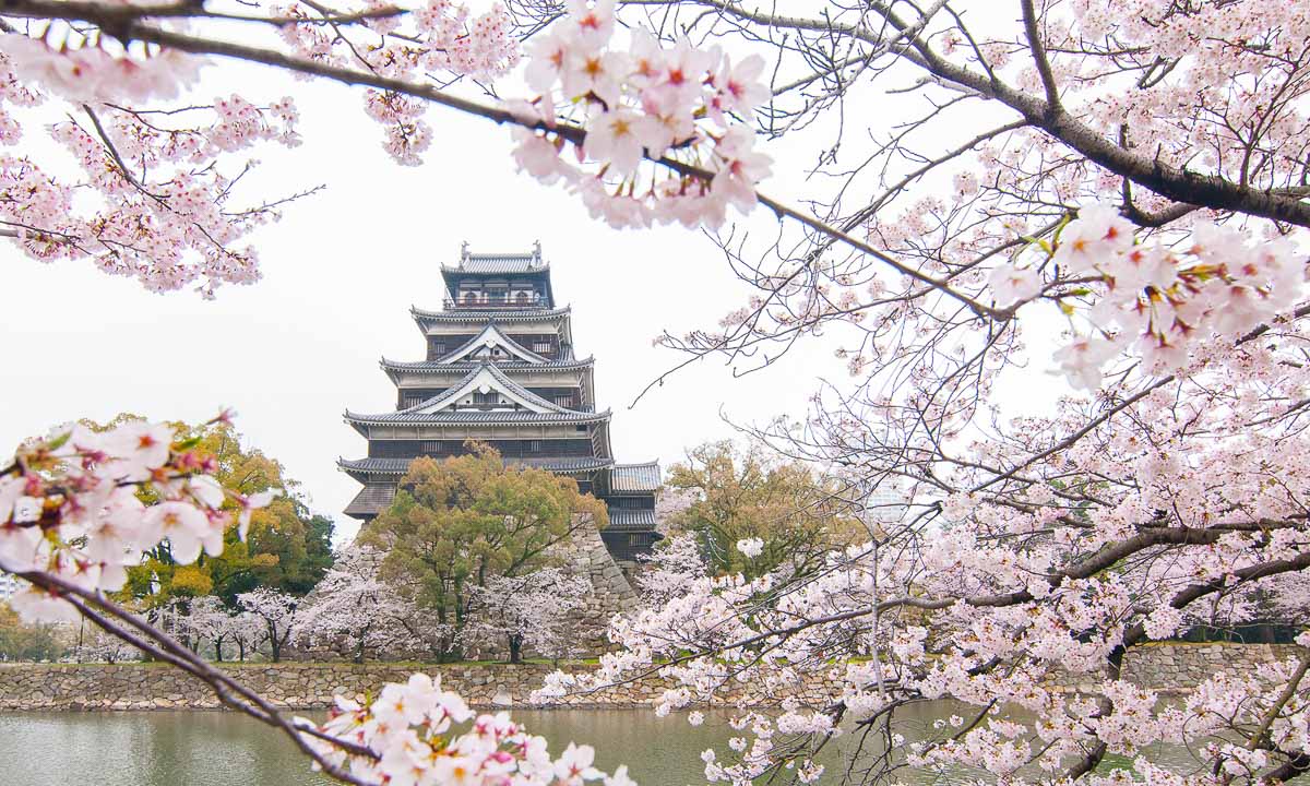 Hiroshima Castle Sakura - Ultimate Cherry Blossoms Japan Guide
