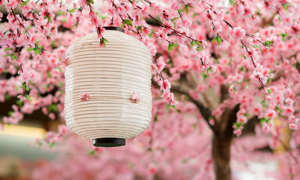 Japanese lantern Sakura - Ultimate Cherry Blossoms Japan Guide