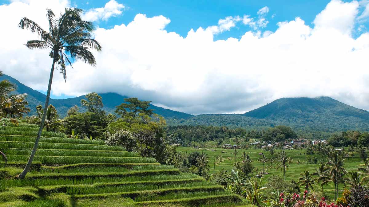 Jatiluwih Rice Field - Lesser-Known Bali Itinerary