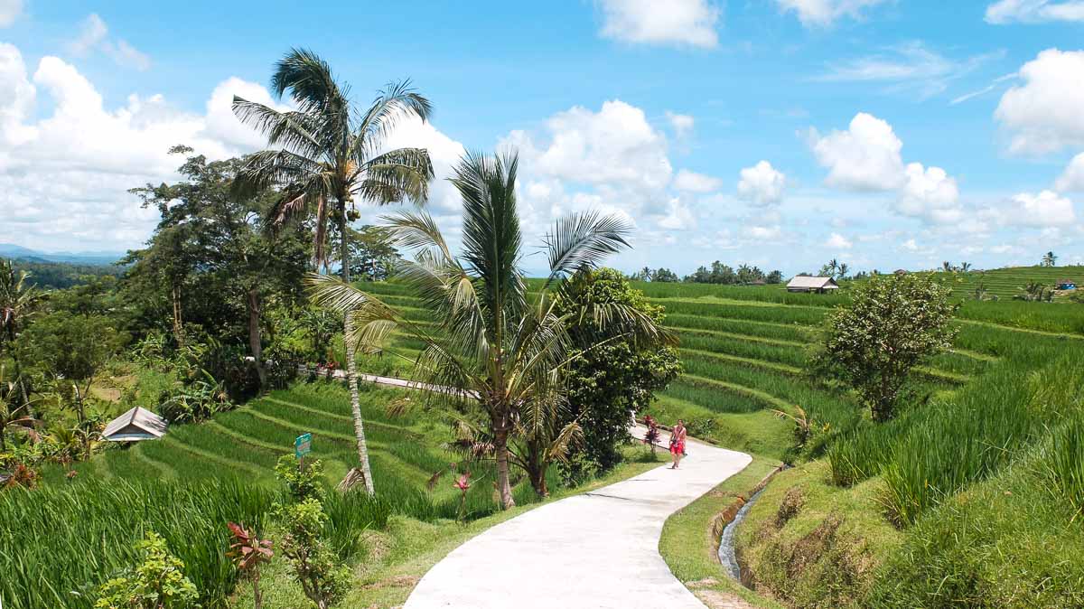 Jatiluwih Rice Terraces - Lesser-Known Bali Itinerary