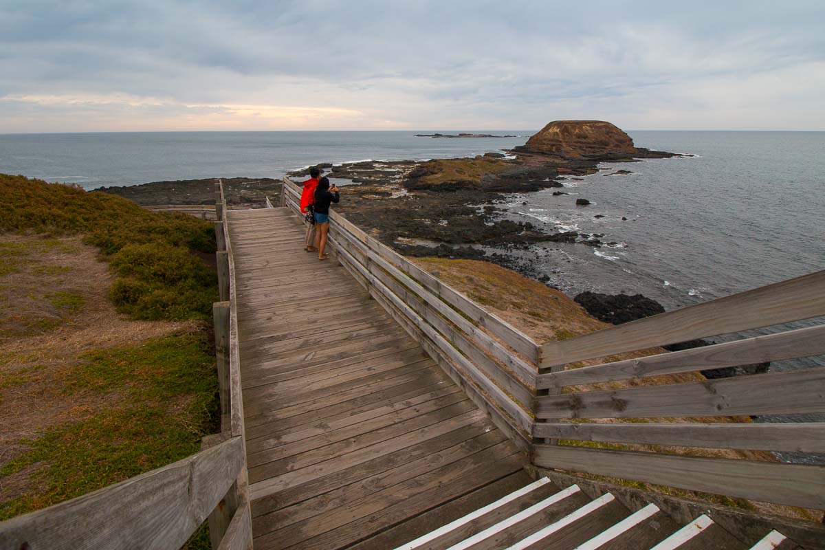 Nobbies Lookout - Phillip Island Guide: Day Trip From Melbourne
