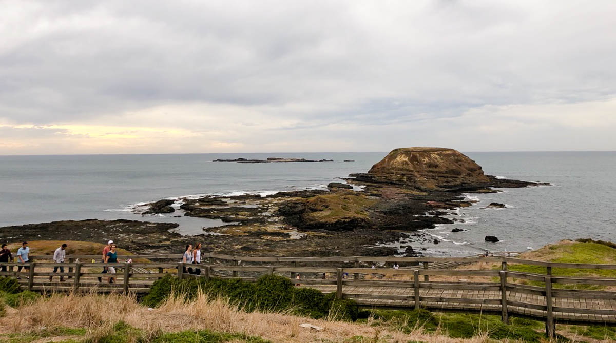 Nobbies Lookout point - Philip island guide
