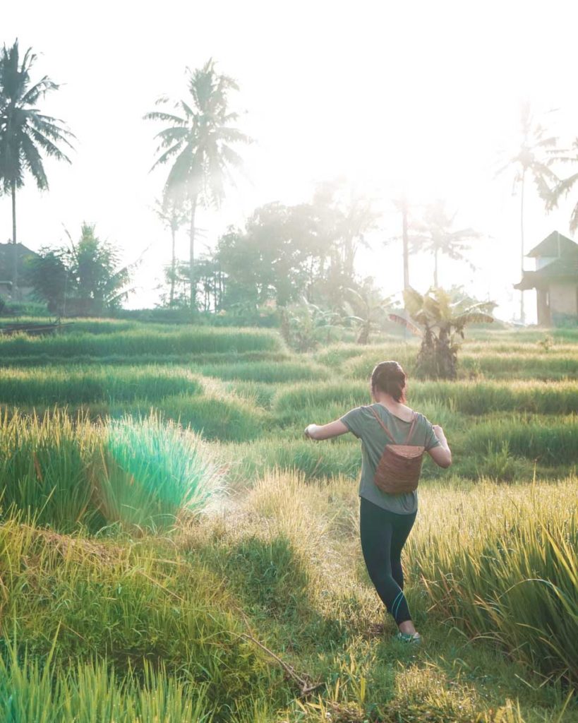 Rice Terrace-Ubud Travel Guide