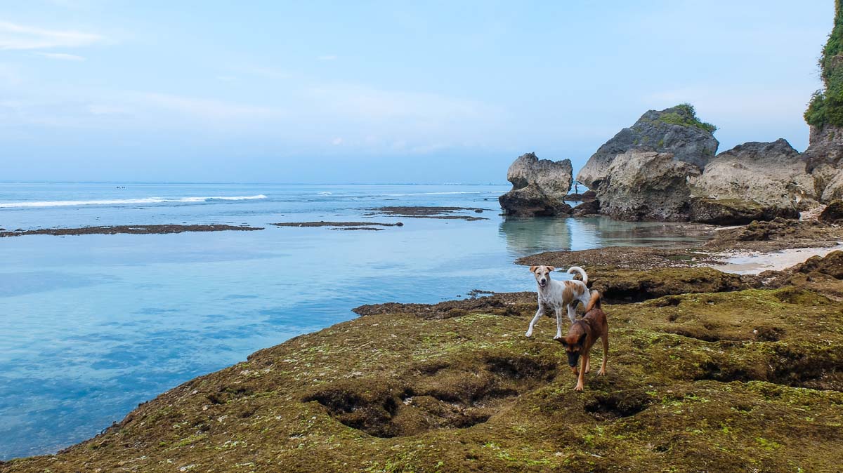 Suluban Beach with dogs - Lesser-Known Bali Itinerary