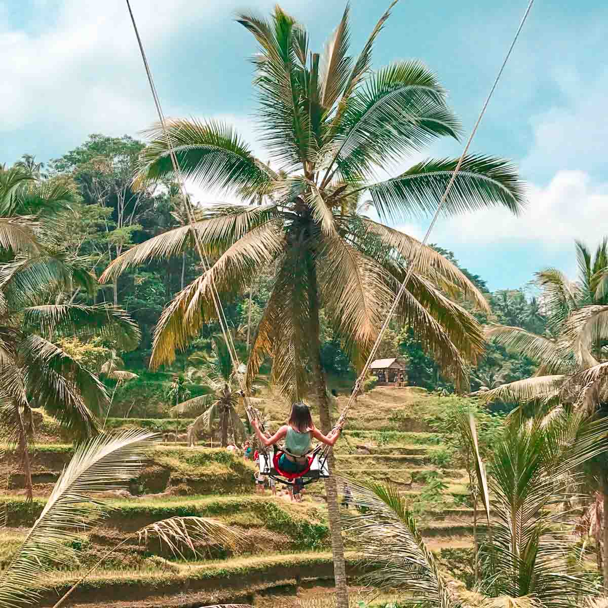 Tagallalang Swing - Bali Photo Spots