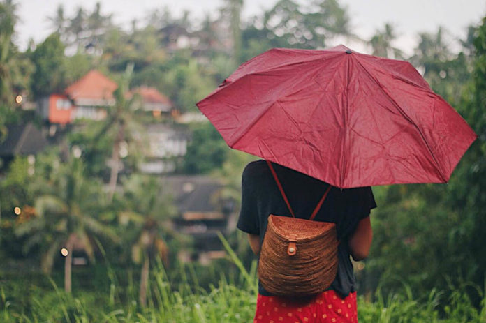 Umbrella-Ubud Travel Guide