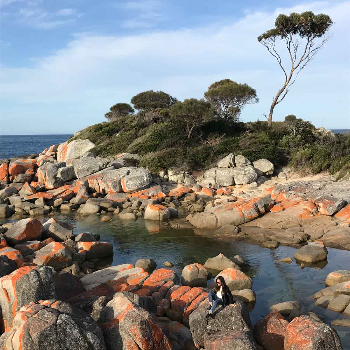 bay of fires-things to do in tasmania