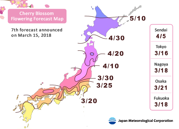 2018 Japan Cherry Blossom Forecast - Ultimate Cherry Blossoms Japan Guide