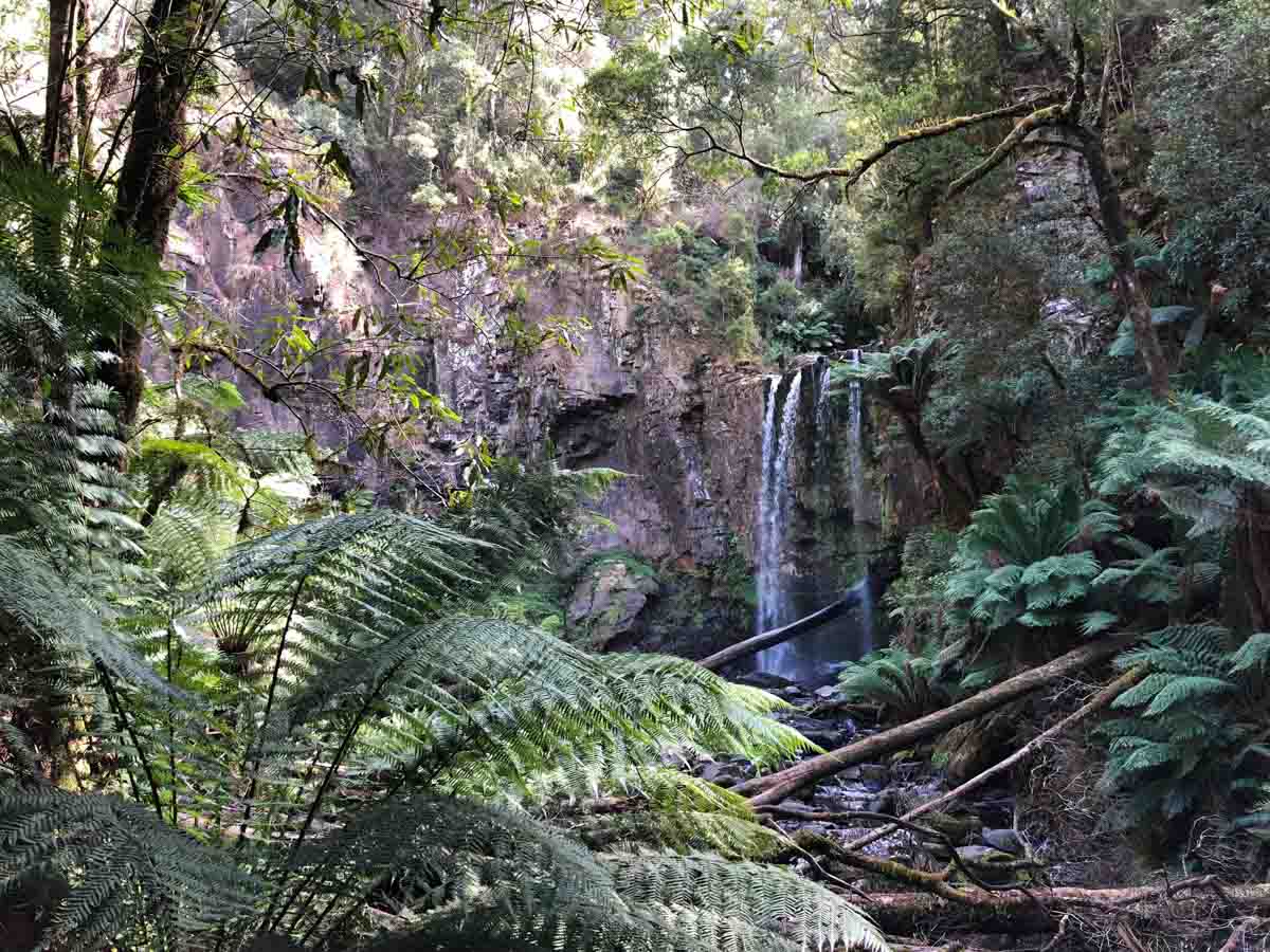 hopetoun falls - melbourne road trip