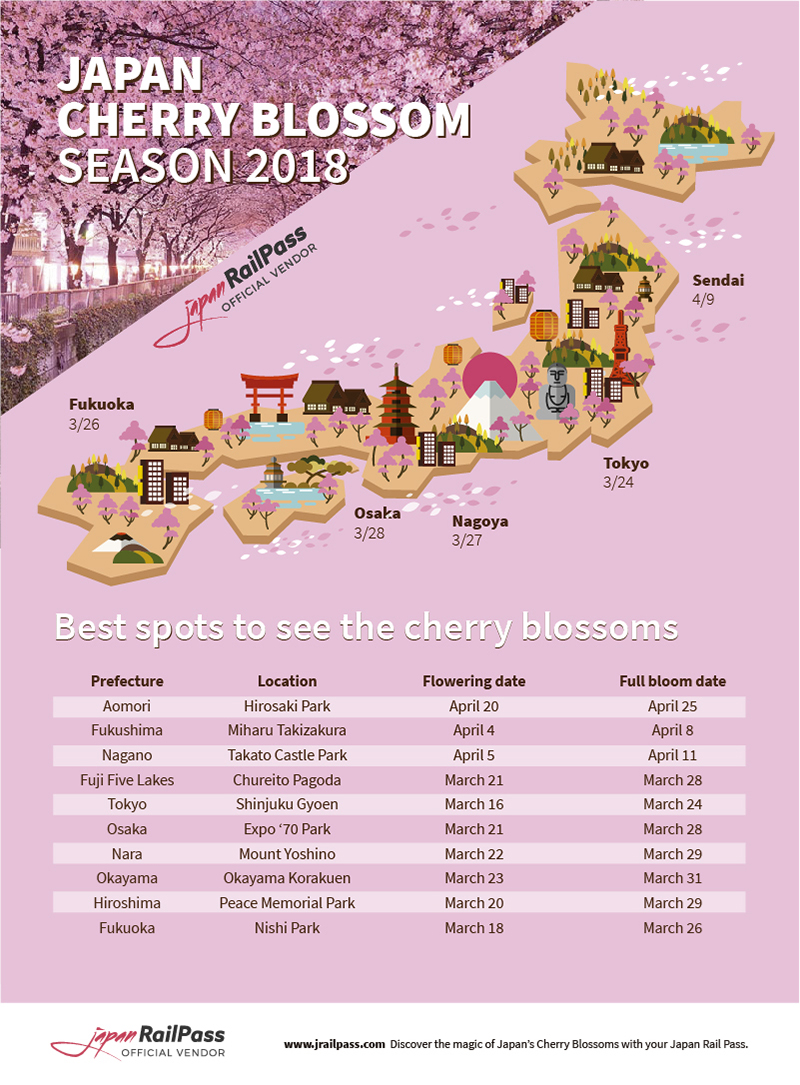Infographic 2018 Japan Cherry Blossom Forecast - Ultimate Cherry Blossoms Japan Guide