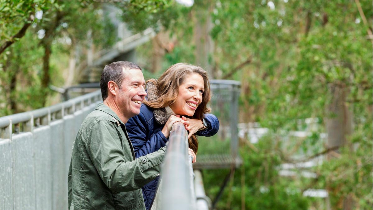 otway treetop adventure - melbourne road trip