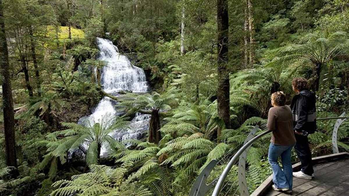 triplet falls - otway national park - melbourne road trip