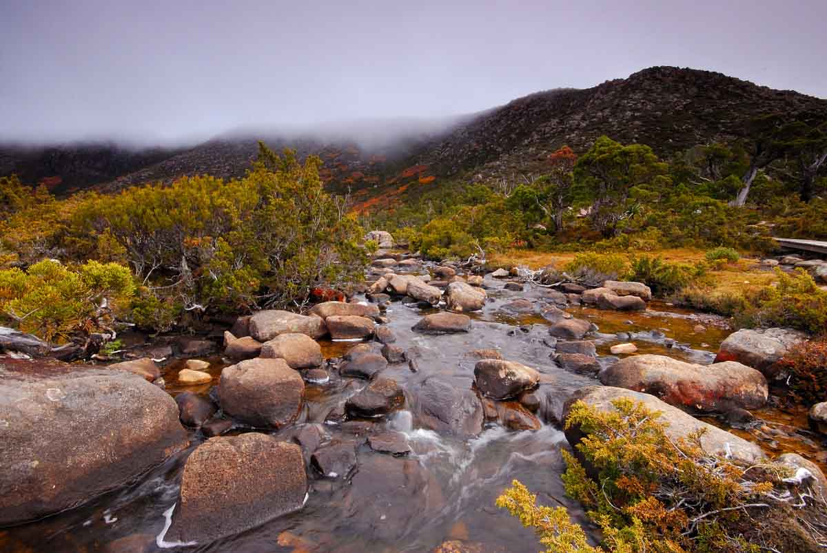 turning of the fagus-tarn shelf track-mount field national park-things to do in tasmania