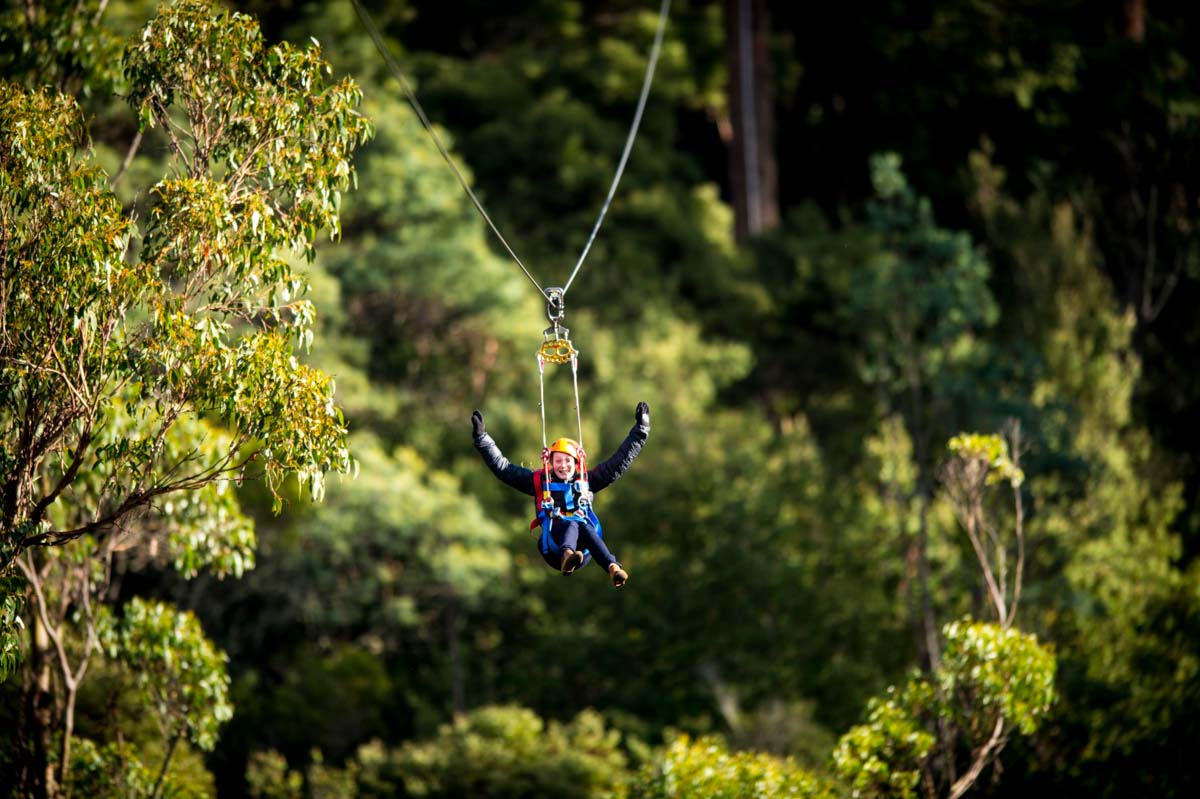 zipline-hollybank treetop adventures- things to do in tasmania