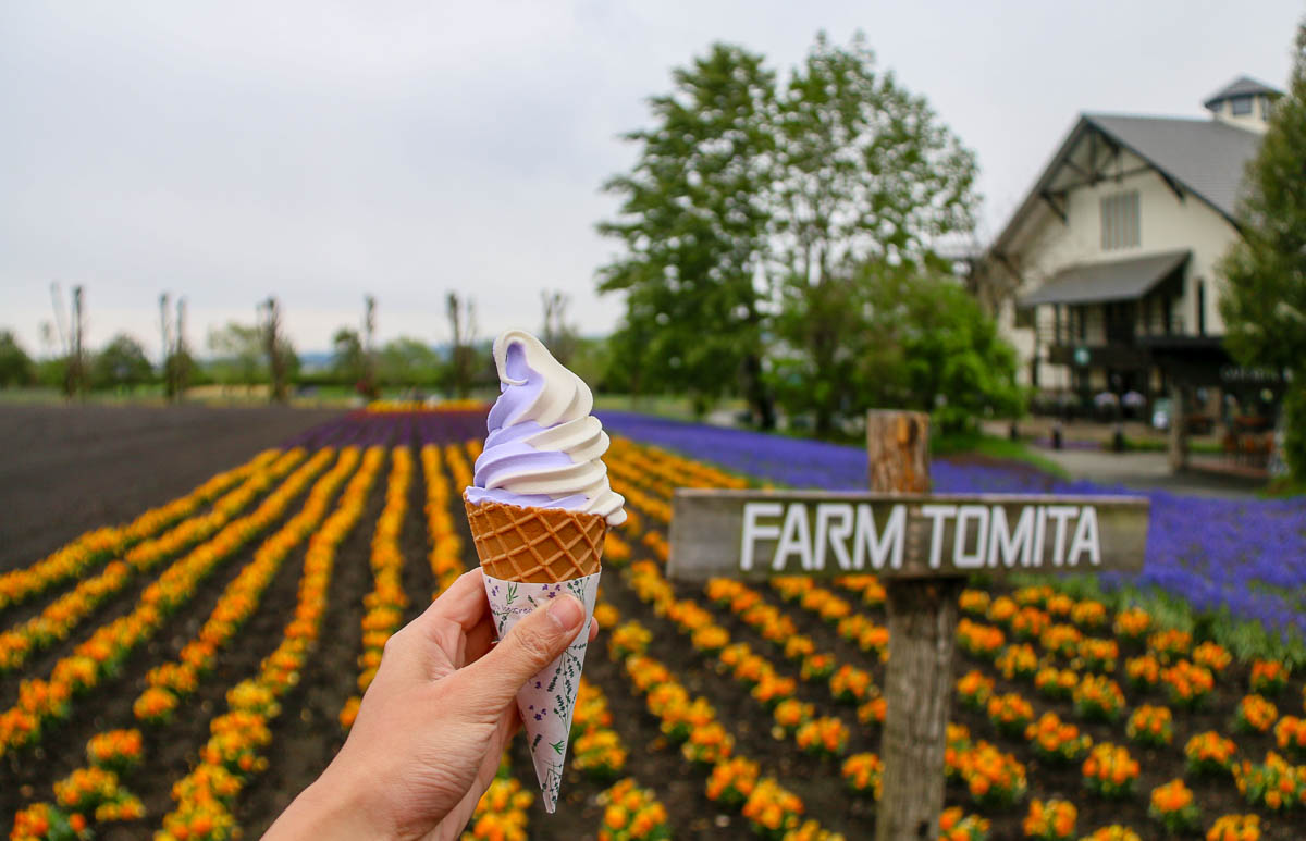 Lavender Ice cream at Farm Tomita Furano -Hokkaido Road Trip Itinerary