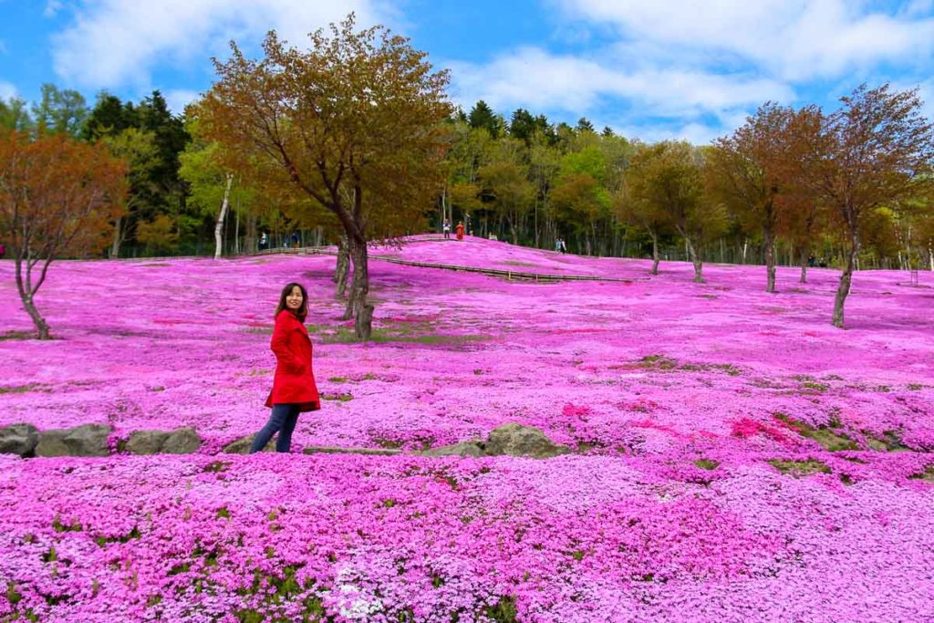 Takinoue Park Pink Moss - The Travel Intern Bucket List