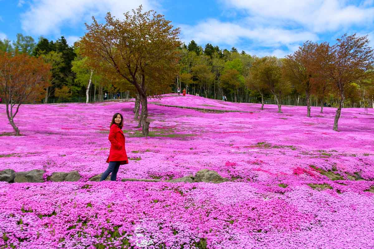 Takinoue Park Pink Moss - Budget Hokkaido Itinerary