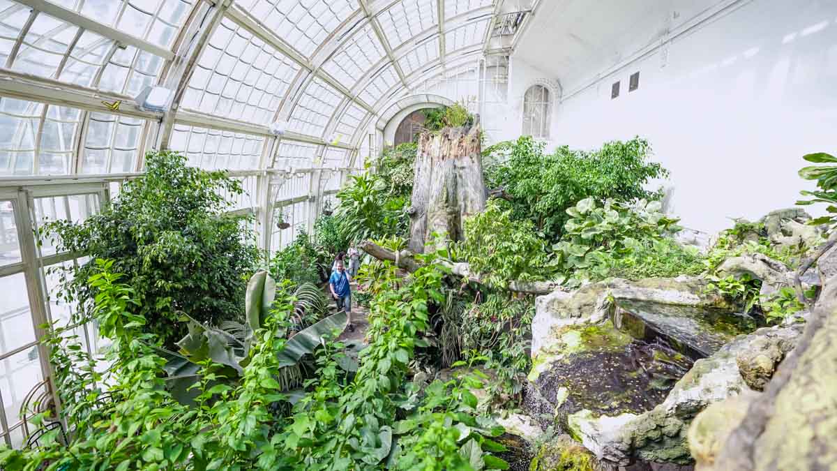 Vienna, Butterfly House-The Ultimate Eurail Budget Itinerary