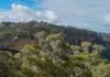 NSW Blue Mountains Itinerary