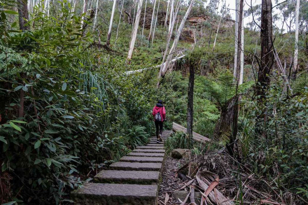 Grand Canyon Walk - NSW Blue Mountains Itinerary-11