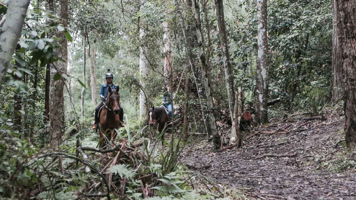 Horse riding Glenworth Valley - NSW Australia Road Trip Itinerary