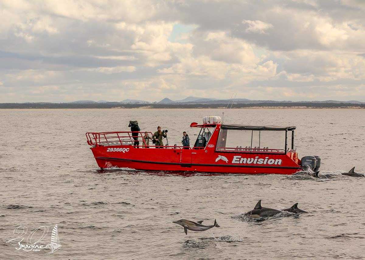 Imagine cruises whale watch cruise - Things to do in NSW