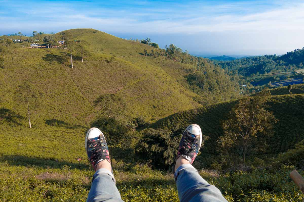 Kemuning Tea Plantation Perspective - Yogyakarta Photography Guide