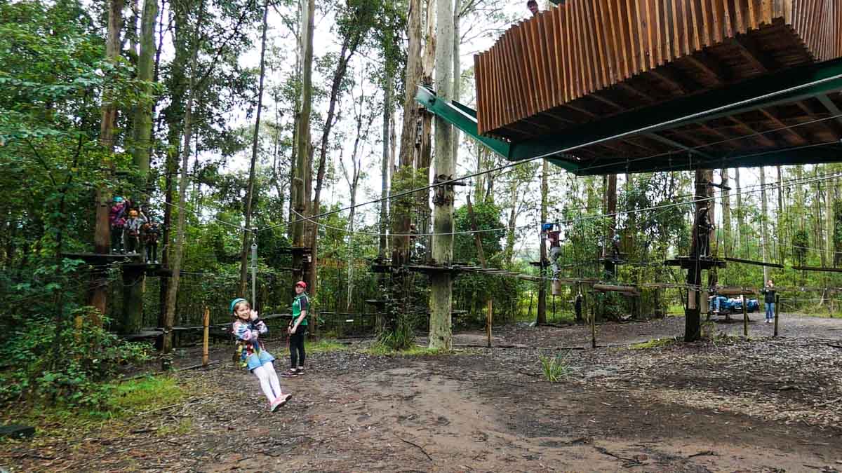 Kids zipling at treetops - NSW Australia Road Trip Itinerary