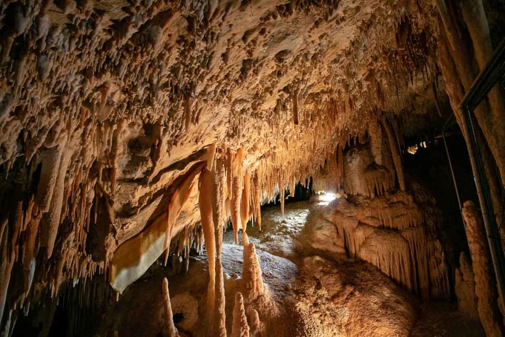 Lucas Cave in Jenolan Caves - NSW Blue Mountains Itinerary