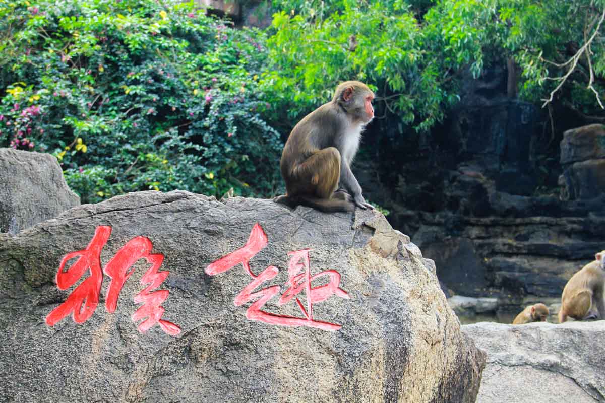 Nanwan Monkey Island in Lingshui County Hainan - Raffles Hainan Hotel Review