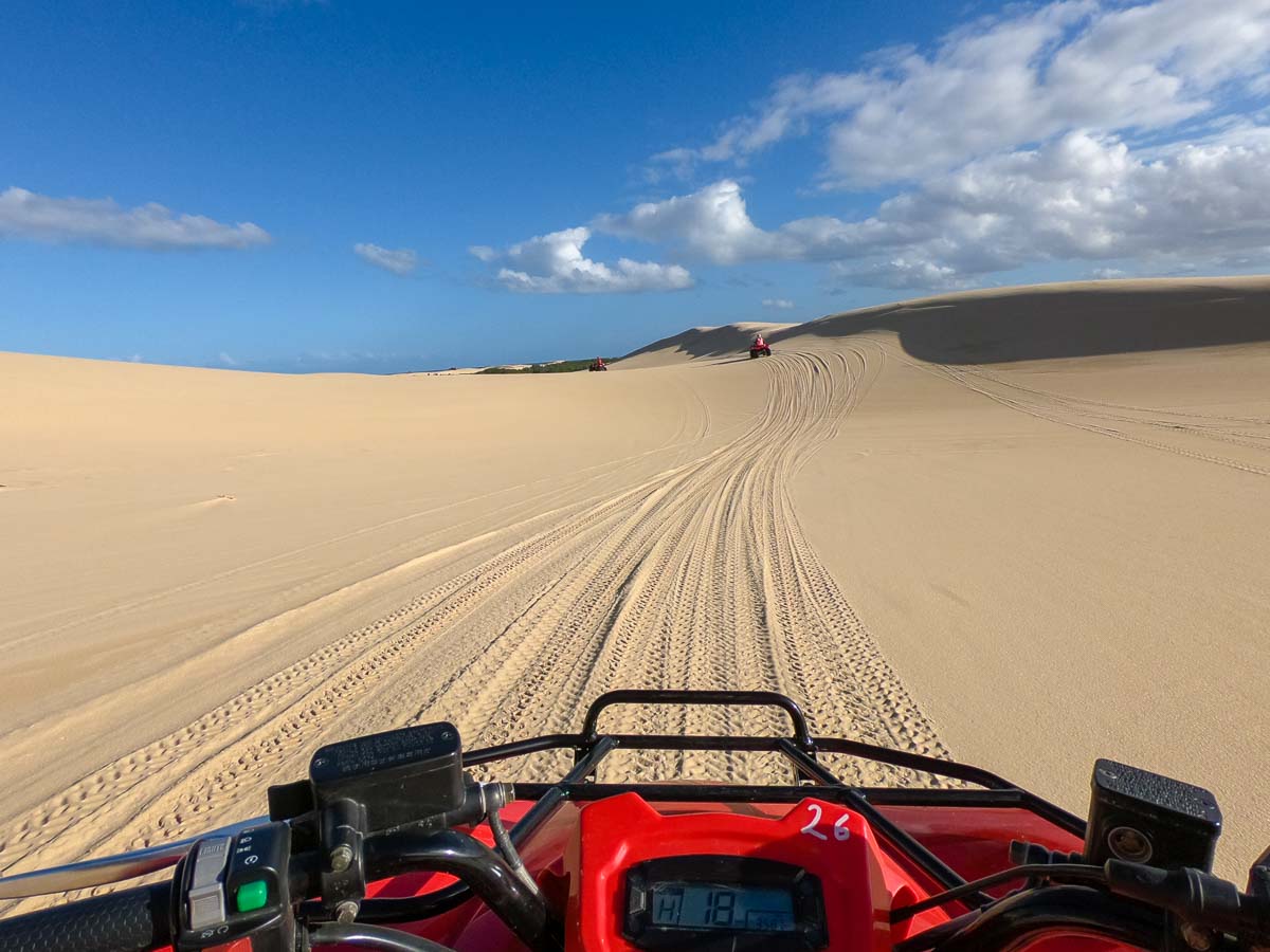 Sand Dune Adventures - Things to do in NSW