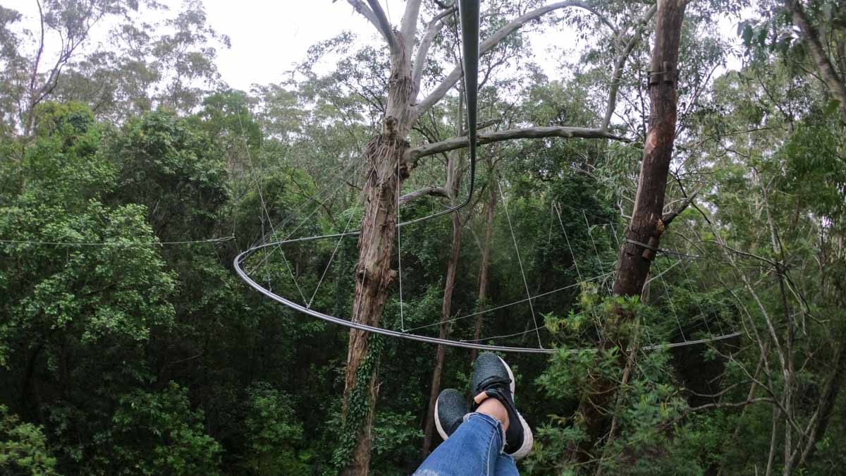 Treetops xtreme rider - NSW Australia Road Trip Itinerary