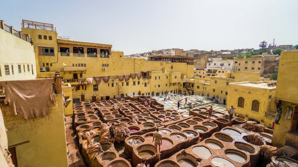 Chouara Tannery in Fez - Morocco Itinerary