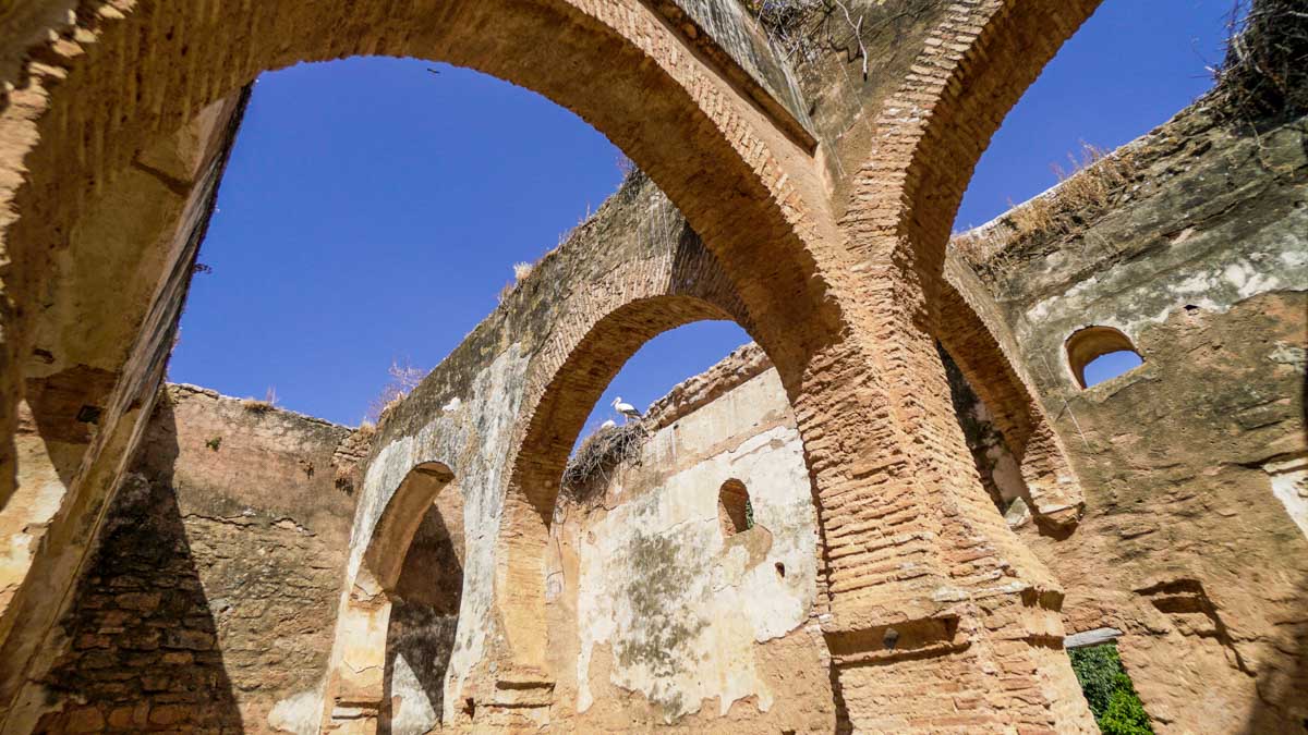 Inside Chellah in Rabat - Morocco Itinerary