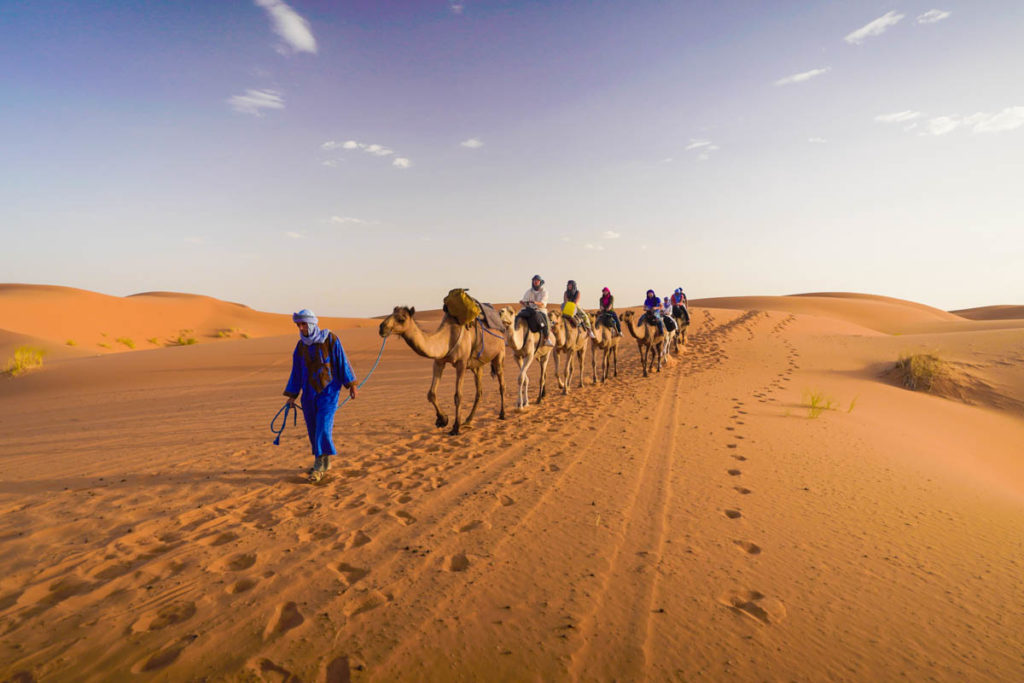 Hour-long Camel Ride to Base Camp for the Night in the Sahara Desert