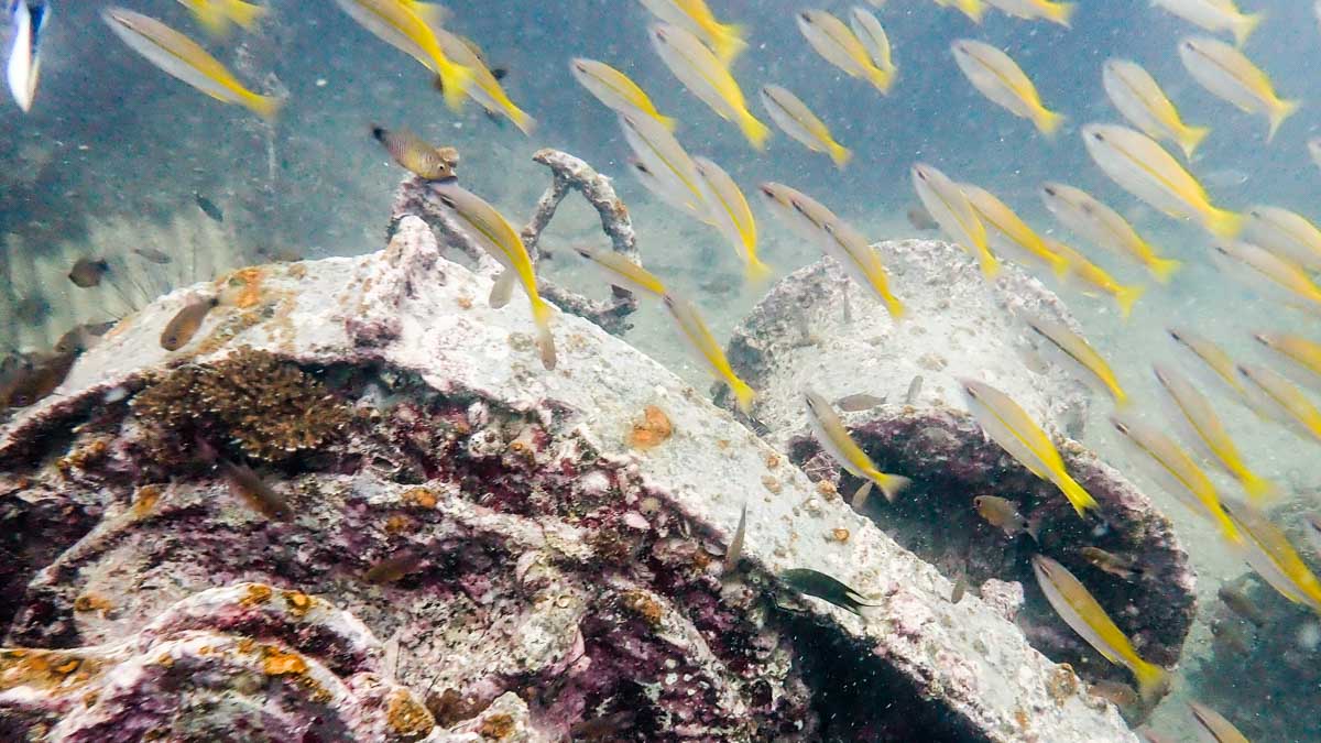 Kings cruise shipwreck underwater shot - Phuket Island Hopping Guide