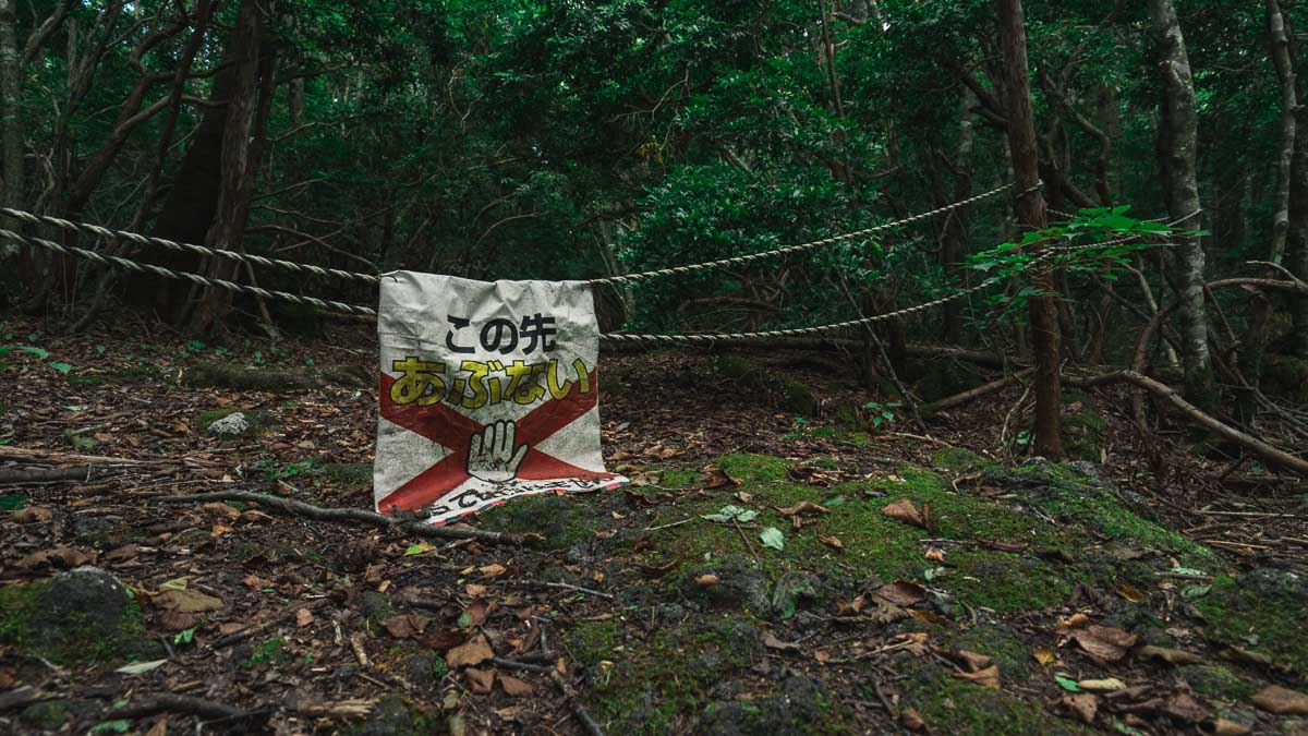 Climbing Mount Fuji - Aokigahara Forest Warning Signs