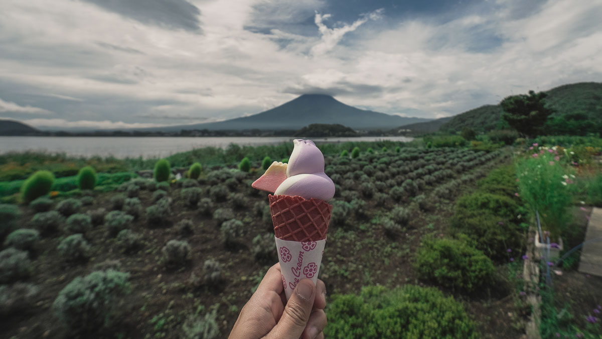 Climbing Mount Fuji - Blueberry Soft Serve