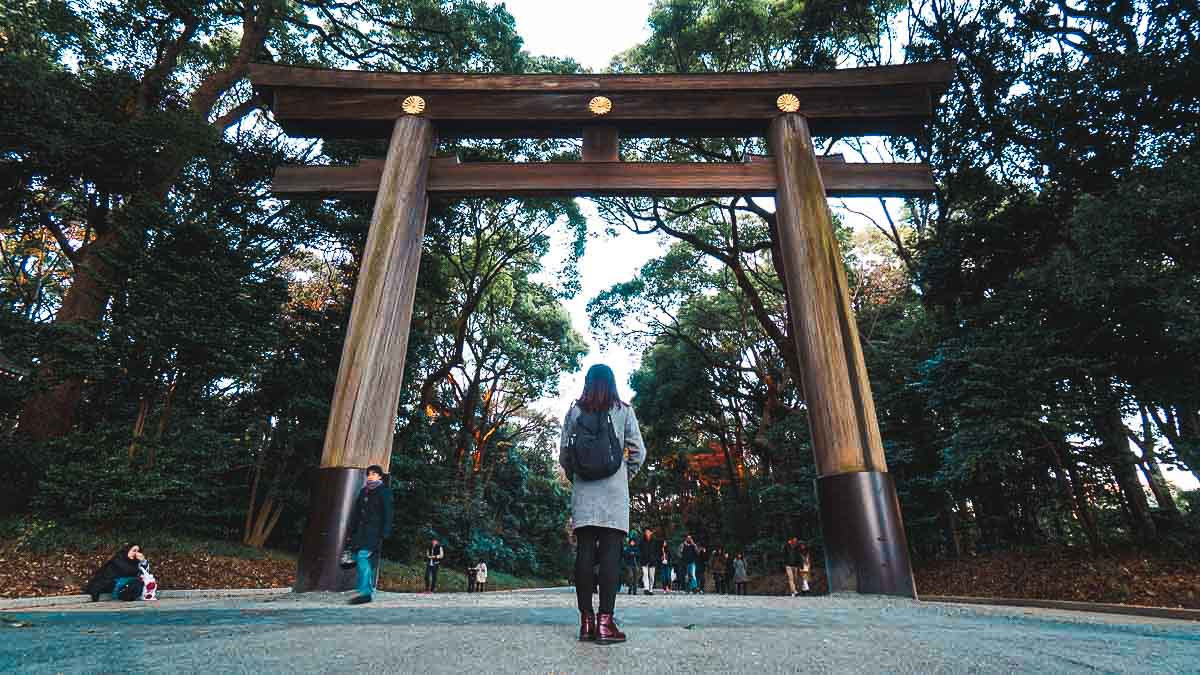 Mount Fuji Itinerary Tokyo - Meiji Jingumae Shrine