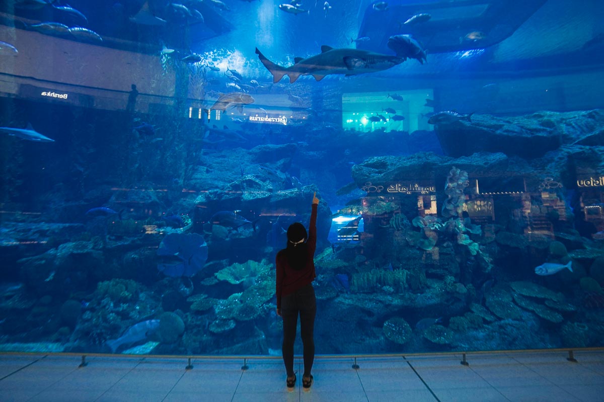 Dubai Aquarium - Dubai Guide